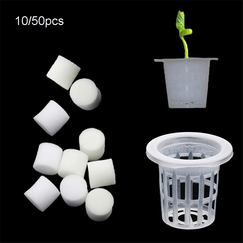 10/50pcs Durable Planting Aqua - đánh giá và giá Aquarium Planted Seeds