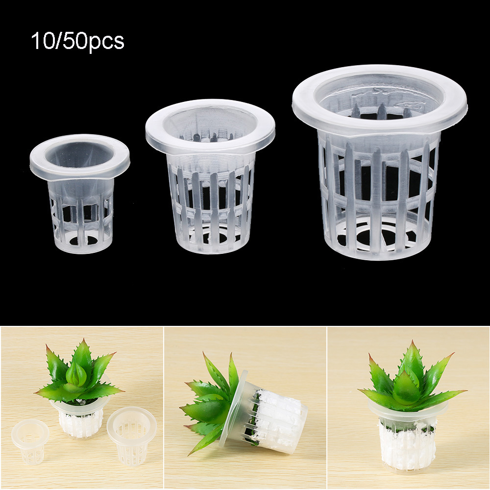 10/50pcs Durable Planting Aqua - đánh giá và giá Aquarium Planted Seeds